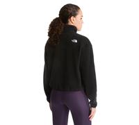 Polaire 1/4 zip femme The North Face Novelty Logo Glacier Noir M