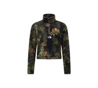 THE NORTH FACE Pull-over de sport 'NOVELTY GLACIER' marron / vert / vert foncé / noir, Taille XS