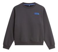 THE NORTH FACE Retro Trail Relaxed Crew - Graphic - Homme - Gris - taille XL- modèle 2027