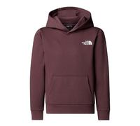 The North Face Simple Dome, sweat à capuche pour adolescents TNF Light Grey Heather S