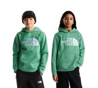 The North Face Sweat à Capuche Essential Drew Peak