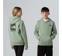 The North Face Sweat À Capuche Nse Box Pour Enfant Slate Moss-new Taupe Green Taille XL male