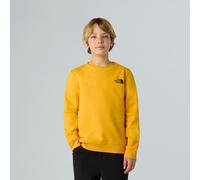 The North Face Sweat Nse Box Pour Enfant Summit Gold Taille L male