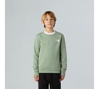 The North Face Sweat Simple Dome Pour Enfant Slate Moss Taille XL male