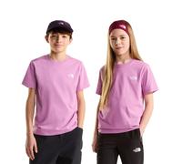The North Face T-shirt à Manches Courtes Evolution Simple Dome