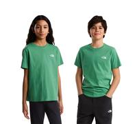 The North Face T-shirt à Manches Courtes Evolution Simple Dome