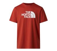 THE NORTH FACE - T-shirt lifestyle - T-Shirt Evolution Half Dome Iron Clay - T-Shirt Mc | The North Face - L - male L