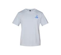 THE NORTH FACE T-Shirt 'MOUNTAIN CELEBRATION' bleu / gris clair / noir / blanc, Taille L