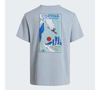 The North Face T-shirt Standard Mountain Celebration Graphic Unisexe Frost Grey Taille XXL male