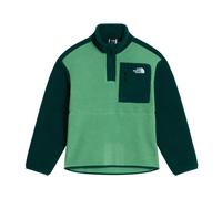 The North Face - Teen Yumiori 1/4 Zip Jacket - Polaire enfant Dimmed Algae / Hunter Gre - L