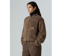 The North Face The North Face Brown Extreme Pile Full Zip Fleece