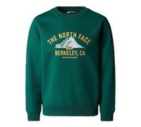 The North Face Varsity Graphic Relaxed Crew Sweater pour Enfant Evergreen 10 Ans