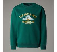 The North Face Varsity Graphic Relaxed Crew Sweater pour Enfant Evergreen 14-16 Ans