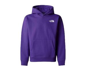 The North Face Vertical Graphic Oversized Sweatshirt Mixte (Lot de 1)