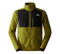 THE NORTH FACE Veste Homesafe pour Homme