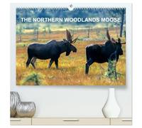 THE NORTHERN WOODLANDS MOOSE (High Quality Premium Wall Calendar 2026 DIN A2 landscape),CALVENDO 12 Month Wall Calendar: Step by step with the northern woodlands moose in their natural habitat