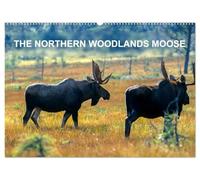 THE NORTHERN WOODLANDS MOOSE (Wall Calendar 2026 DIN A2 landscape), CALVENDO 12 Month Wall Calendar: Step by step with the northern woodlands moose in their natural habitat