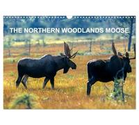 THE NORTHERN WOODLANDS MOOSE (Wall Calendar 2026 DIN A3 landscape), CALVENDO 12 Month Wall Calendar: Step by step with the northern woodlands moose in their natural habitat
