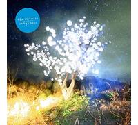 Notwist - Vertigo Days [Import]