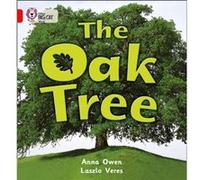 The Oak Tree by Anna Owen Collins Big Cat (Auteur)