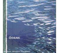 the ocean - fluxion