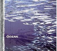 The Ocean - Fluxion [Import]