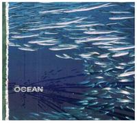 The Ocean - Fluxion [Import]