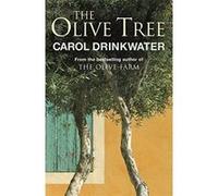 The Olive Tree Carol Drinkwater (Auteur)
