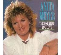 The One That You Love