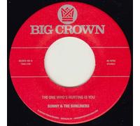 The One Who's Hurting is Should I Take You Home (Keyloc Version)