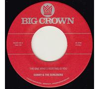 The One Who'S Hurting Is You + Should I Take You Home (Keyloc Version)