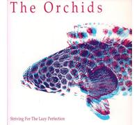 The Orchids - Striving For The Lazy Perfection
