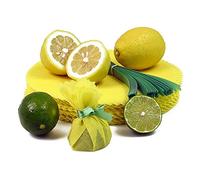 The Original Lemon Wraps Lot de 100 serviettes de service au citron Jaune avec cravate verte