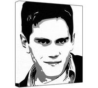 The Osmotic Pressure Of Aqueous Solutions: Report On Investigations Made In The Chemical Laboratory Of The Johns Hopkins University During The Years 1