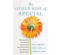 The Other Side of Special Navigating the Messy Emotional JoyFilled Life of a Special Needs Mom by Carrie M Holt Carrie M Holt (Auteur)