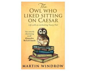 The Owl Who Liked Sitting on Caesar by Martin Windrow (2014-10-23)