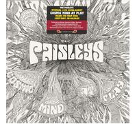 Paisleys Cosmic Mind at Play (Vinyl)