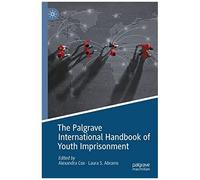 The Palgrave International Handbook Of Youth Imprisonment