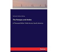 The Pampas And Andes