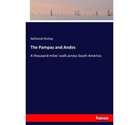 The Pampas And Andes