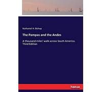The Pampas And The Andes