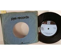 THE PAPER DOLLS - THE PAPER DOLLS something here in my heart (keeps a tellin' me no) / all the time in the world, 7 inch single, 7N. 17456