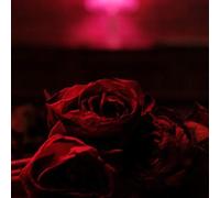 The Paper Kites Roses (Vinyl) 12" Album