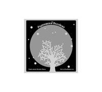 The Papermoon Sessions - Live At Roa