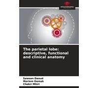 The Parietal Lobe: Descriptive, Functional And Clinical Anatomy