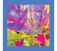 The Past is a Garden I Never Fed/Neon Pink Vinyl