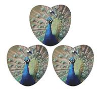 The Peacock Lot de 3 désodorisants à suspendre pour voiture, maison, bureau, style blanc