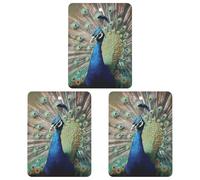 The Peacock Lot de 3 désodorisants carrés à suspendre pour voiture, maison, bureau, style blanc