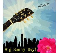 The Peasants - Big Sunny Day