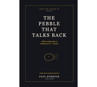 The Pebble That Talks Back: What's really going on inside your AI - and you.